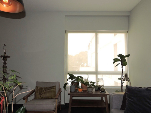 Penthouse Con Roof Garden En Venta En Colonia Nápoles