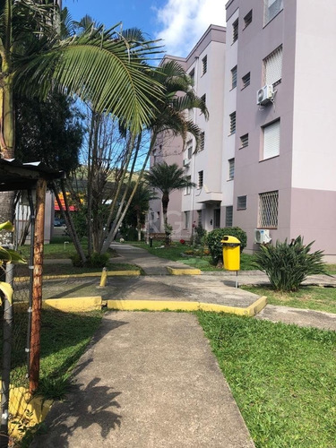 Imagem 14 de 17 de Apartamento Morro Santana Porto Alegre - 7628