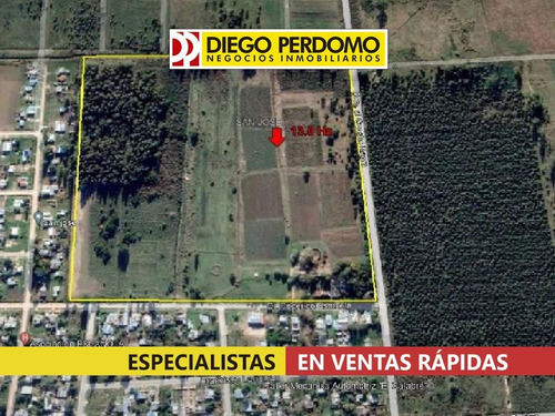 Imagen 6 de 12 de Chacra De 13.8 Ha En Venta. Ciudad Del Plata