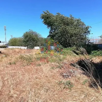 Sitio en venta