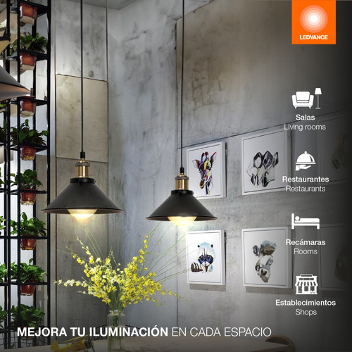 Lámpara De Techo 88870 Industrial Pendulum Negro Ledvance