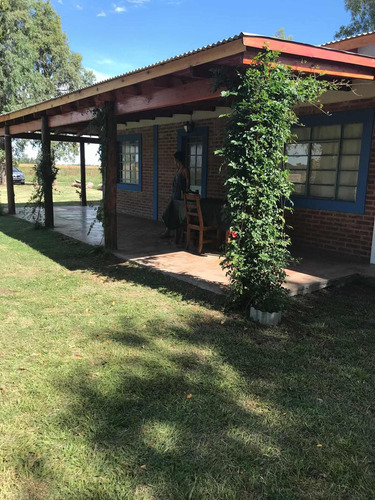 Imagen 11 de 15 de Alquilo Casa En El Campo ( San Miguel Del Monte )