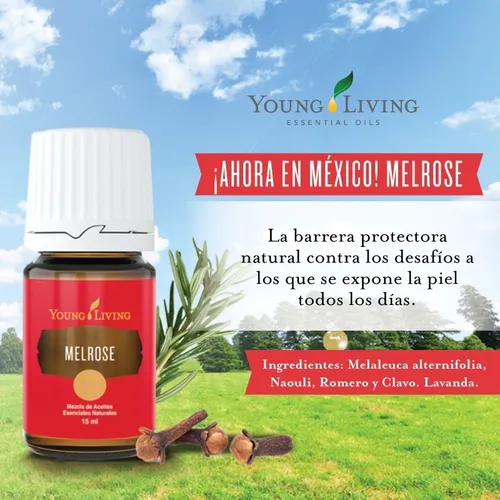 Aceite Esencial Melrose De Young Living Original Regalo Env o
