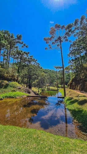 Maravilhoso Rancho De 90 Hectares - Ch0464