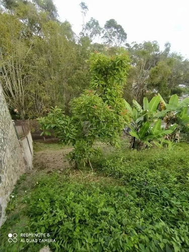 Imagen 14 de 14 de Terrenos En Venta San Antonio De Los Altos Urb San Gabriel