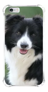 Capinha Compatível iPhone Samsung Xiaomi Border Collie 01