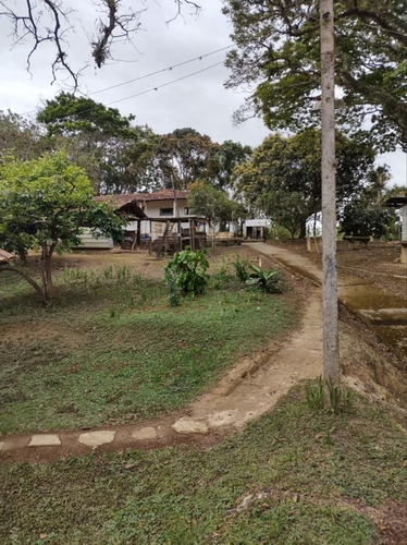 Imagem 22 de 30 de Chácara Para Venda - Figueira Grande, Santa Branca - 10000m² - 2579