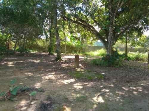 Imagem 16 de 20 de Casa Em Borralho, Camaragibe/pe De 100m² 3 Quartos À Venda Por R$ 360.000,00 - Ca1041562