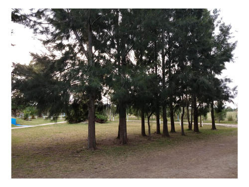 Imagen 15 de 27 de Campo Venta 3 Cabañas Pileta, Laguna, Cancha De Fútbol, Arbolada -1.8 Hectáreas - Magdalena