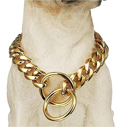 Bmusdog Chain Dog Collar 18k Gold Cuban Link Chain Vnymg
