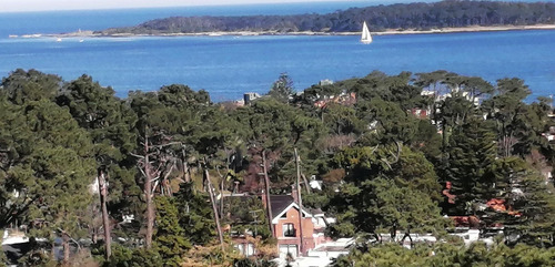 Imagen 7 de 14 de Alquilo Punta Del Este 1 Dormitorio Piscina Exterior E Interior Climatizada,,garage,aire,wifi,microcine,gym,servicios