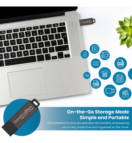 Memoria Usb Centon Electronics Datastick Pro, 2 Gb, Pack De