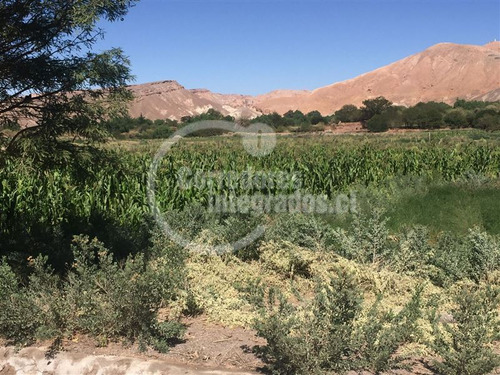 Turística En Venta En San Pedro De Atacama