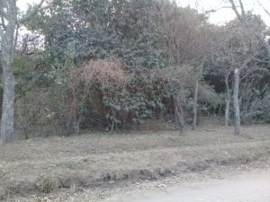 Lote Esquina En Sierra Morena, Villa Ciudad Parque