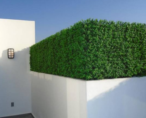Imagen 6 de 6 de Follaje Artificial Jardines Verticales Arrayan Naranja