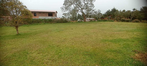 Imagen 12 de 17 de Casa Finca En Venta Santa Elena