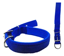 Comprar Collar Pawfy Acolchado Paseo 3cm Varios Colores