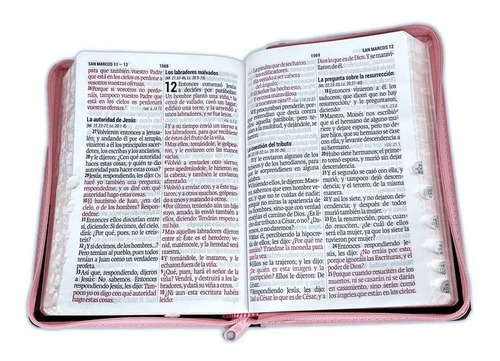 Imagen 2 de 3 de Biblia Rvr60 Letra Gigante Tamaño Manual C/índice Rosa/café