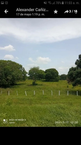 Imagen 25 de 30 de Finca 220 Ha Privadas, Estado Apure