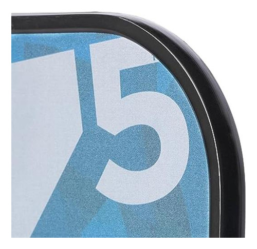 Onix Graphite Mod Z5 - Palas De Pickleball De Fibra De Carbo