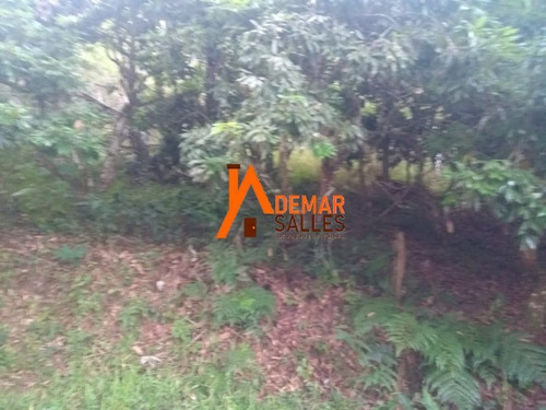 Imagem 11 de 23 de Chacara - Ch00064 - 68105344