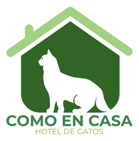 Hotel Para Gatos. Hospedaje Felino Como En Casa.