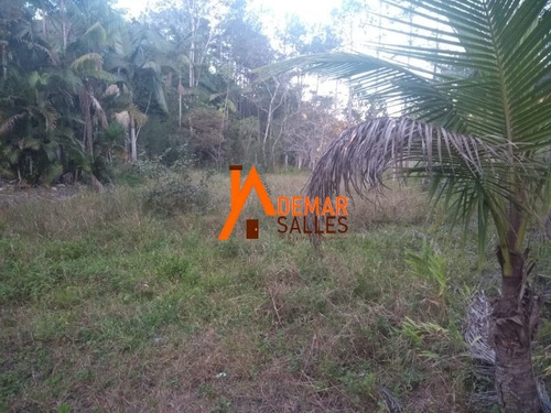 Imagem 5 de 23 de Chacara - Ch00064 - 68105344
