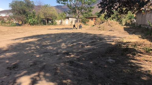 Imagen 7 de 8 de Terreno En Venta