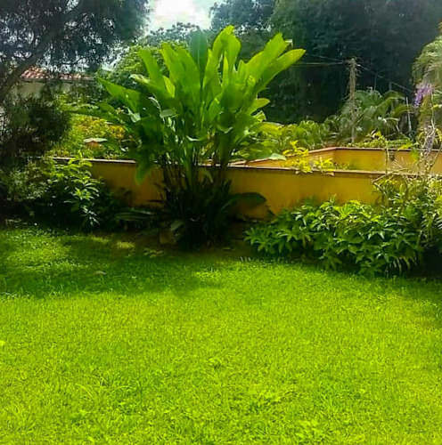 Imagen 6 de 9 de Hermosa Casa Con Amplio Terreno Y Jardin En La Lagunita Country Club - El Hatillo