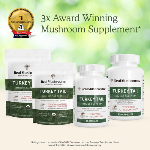 Real Mushrooms Polvo Turkey Tail Orgánico 100 Dosis Vegano