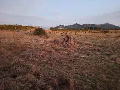 Agrícola en venta