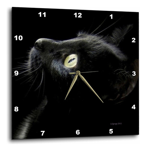 Reloj De Pared Con Cara De Gato Negro 25 X 25 Cm