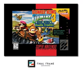 Pôster Capa Donkey Kong Country 3 Super Nintendo 29,7x42cm