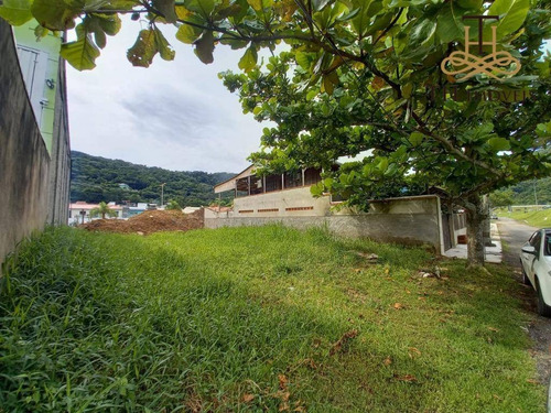 Imagem 2 de 11 de Terreno Para Alugar, 252 M² Por R$ 1.700,00/mês - Nova Esperança - Balneário Camboriú/sc - Te0053