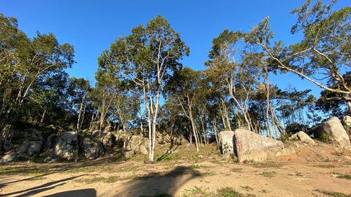 Área Para Venda Em Garopaba, Ressacada - 898_2-1150541