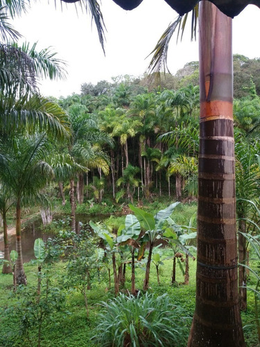 Imagem 6 de 19 de Sítio À Venda Em Juquiá - Sp - 314 - 70534868