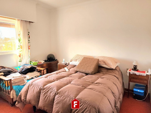 Imagen 6 de 11 de Venta Galpón Con Vivienda En General Belgrano - Sobre Avenida Principal. 2 Plantas