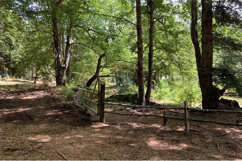 Parcelas Bosques De Palguin - Pucón