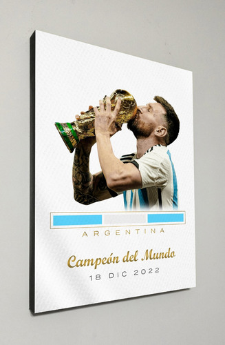 Cuadros Futbol Automovilismo 30x40 Messi Argentina Mundial