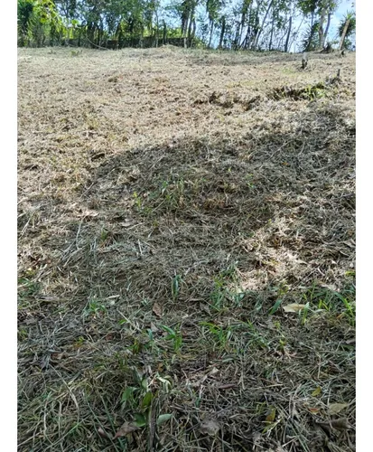 Venta Lote Campestre De 500 Mts2 En La Buitrera 13005-1.