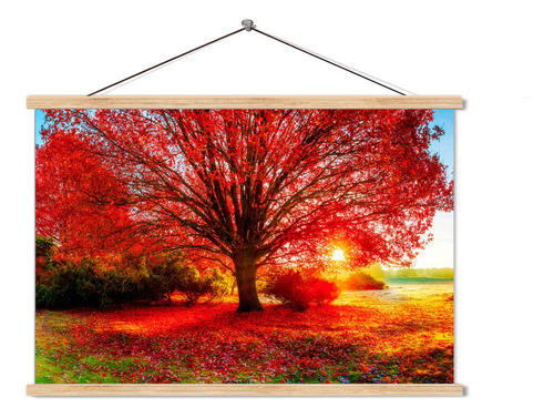 Poster Pergamino Arbol Rojo 60x90cm