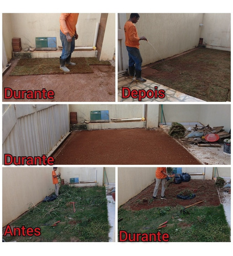 Imagem 2 de 5 de Serviço E Acessória De Jardinagem