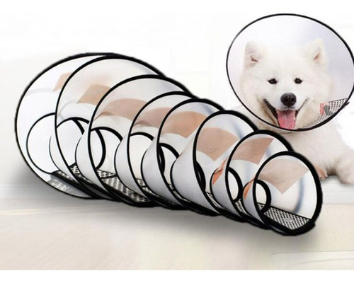 Colar Cirúrgico Elizabetano Para Cães Cachorros Do N1 Ao N7 Cor Transparente Tamanho da coleira Colar nº 5 (21-24 cm pescoço)