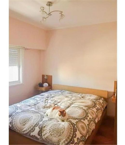 Imagen 11 de 13 de Excelente Departamento 3 Ambientes En Centro De San Martín