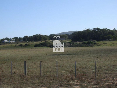 Imagen 5 de 9 de Chacra En Venta Punta Negra - Ref : Pbi589