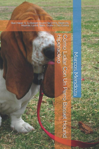 Libro: Cómo Lidiar Con Un Perro Basset Hound Hiperactivo: Qu