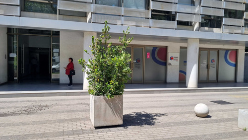 Oficinas O Local En Arriendo En Talca (92565)