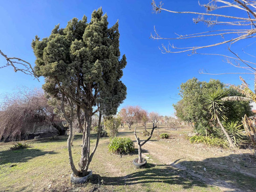 Imagen 8 de 13 de Terreno En Venta En Berisso.