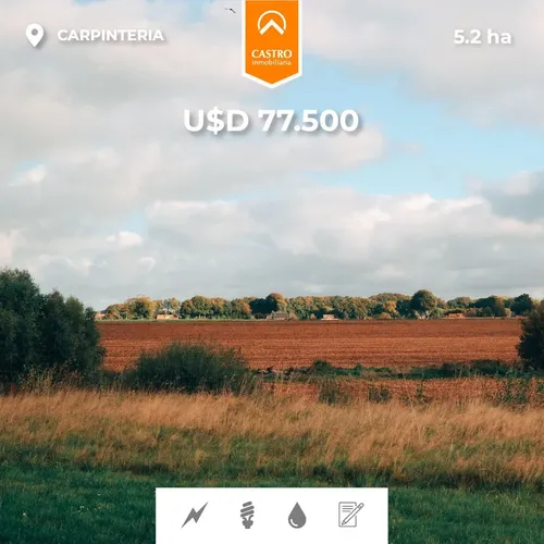 Campo 5.2 Ha - Carpintería, San Luis. - foto 1