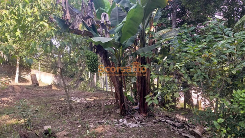Imagem 12 de 14 de Chácara À Venda, Jardim Renata, Itapecerica Da Serra/sp. - 6383